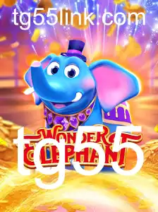 WonderElephant: A Revolução dos Jogos de Tabuleiro